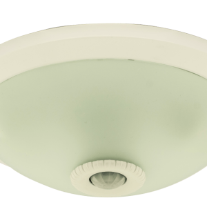 Lighting Fixture with Motion Sensor